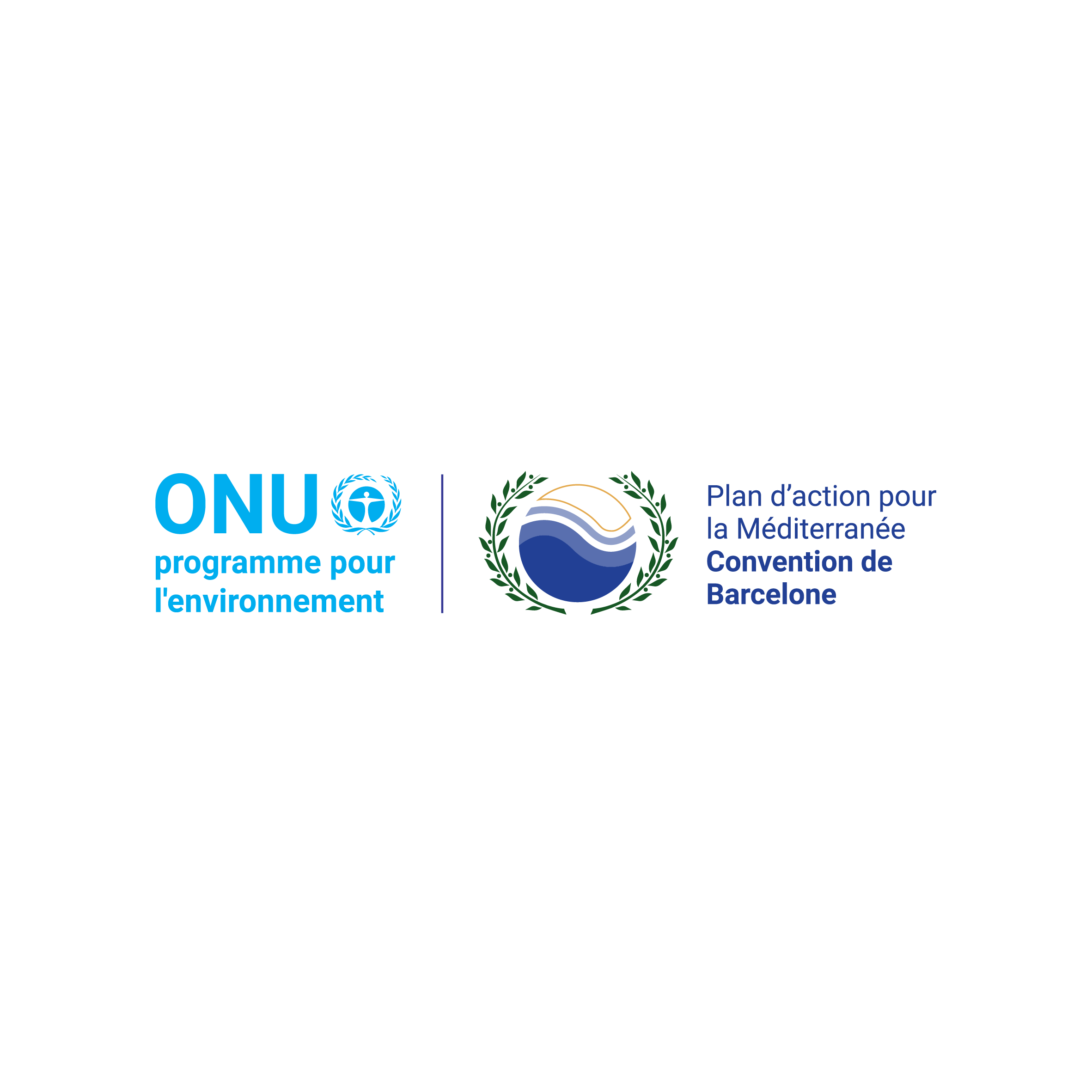 Logo ONU et Plan d'action