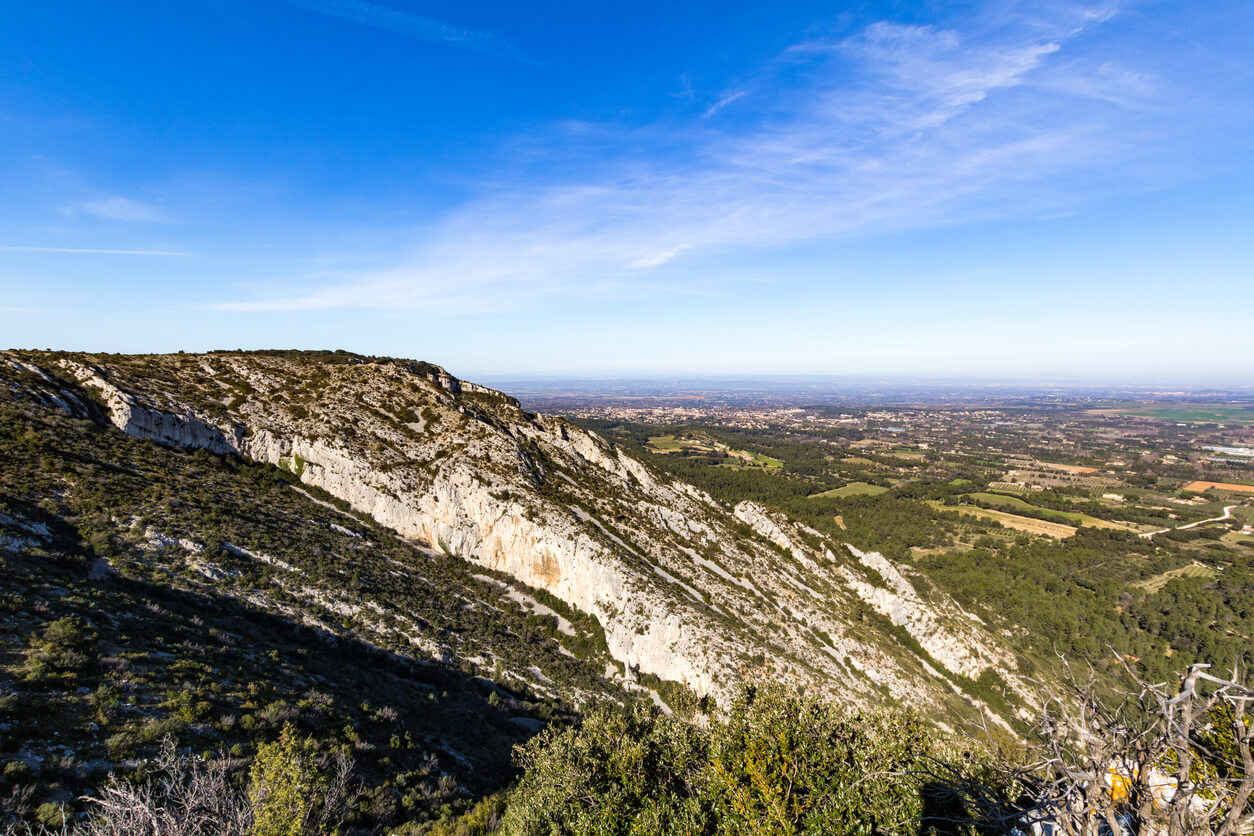 Landscape of the Plateau de la Caume, in the Alpilles regional natural park (France)