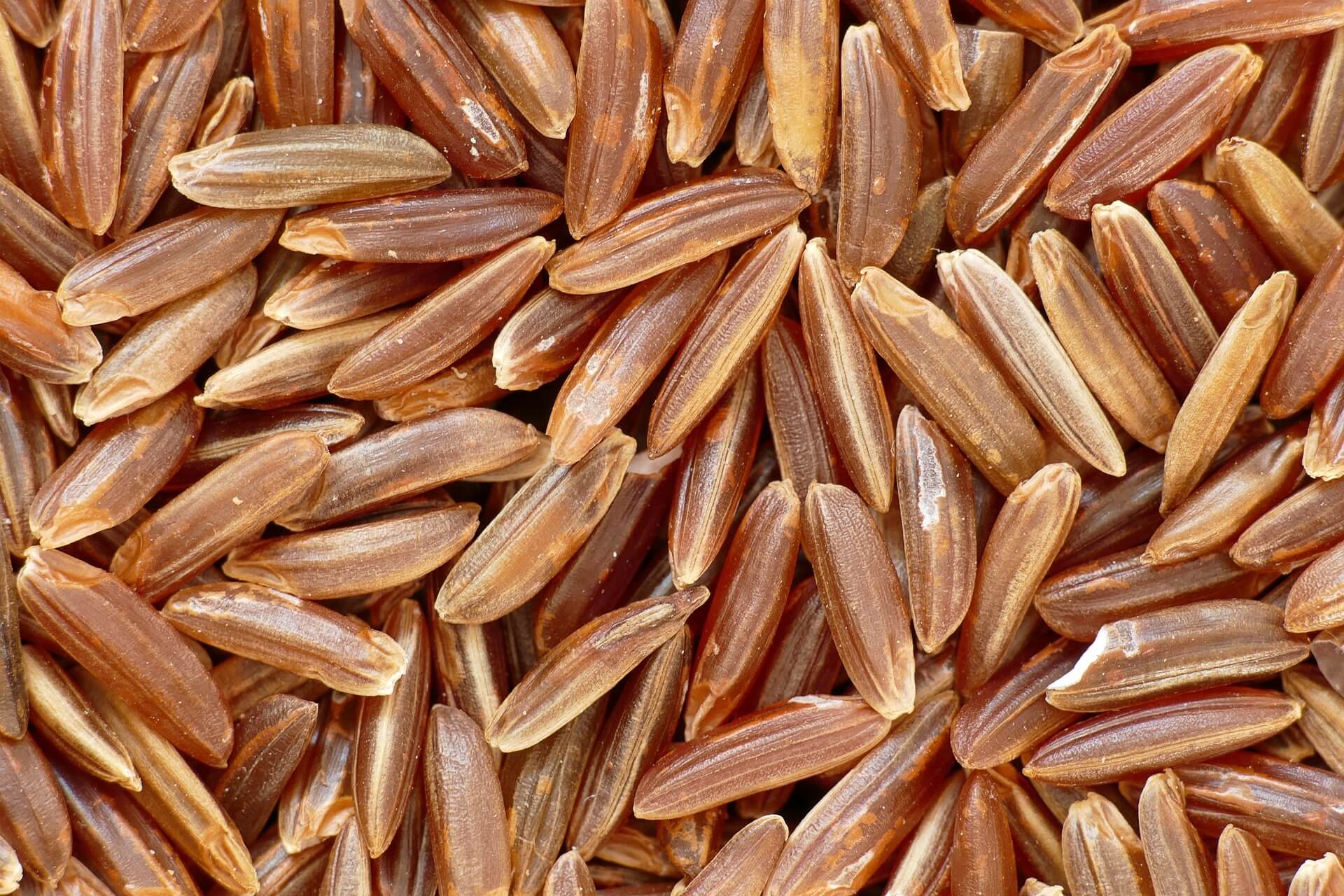 riz rouge de Camargue